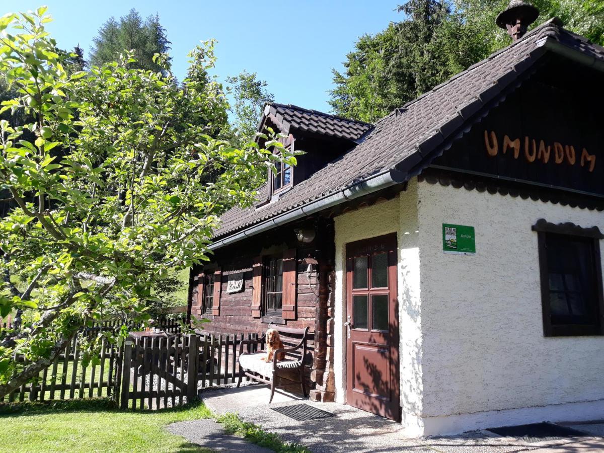 Umundumhuette Villa Katsch an der Mur Ngoại thất bức ảnh