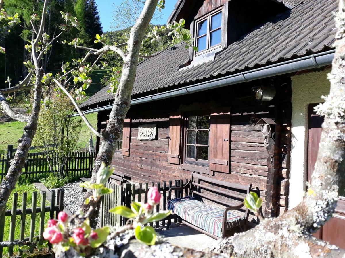Umundumhuette Villa Katsch an der Mur Ngoại thất bức ảnh